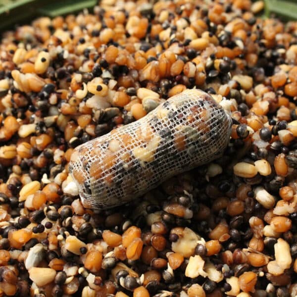 4 X 2.5L DYNAMITE FRENZIED MIXED PARTICALE JARS - Image 3