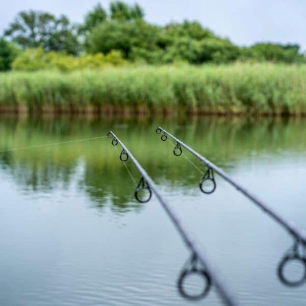 3 X 12FT DAIWA BLACK WIDOW CARP RODS OR CASH - Image 6
