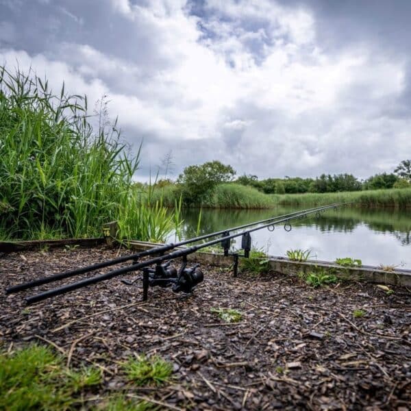 3 X 12FT DAIWA BLACK WIDOW CARP RODS OR CASH - Image 5