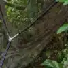 SOLAR BOW-LITE LANDING NET 42” - Image 2