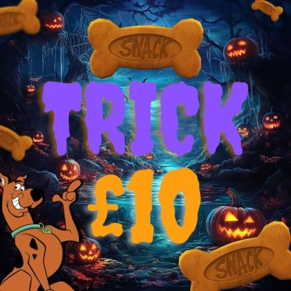 CARPY TRICK OR TREAT - MYSTERY PRIZE EDITION + £100 SITE CREDIT END DRAW - Image 6