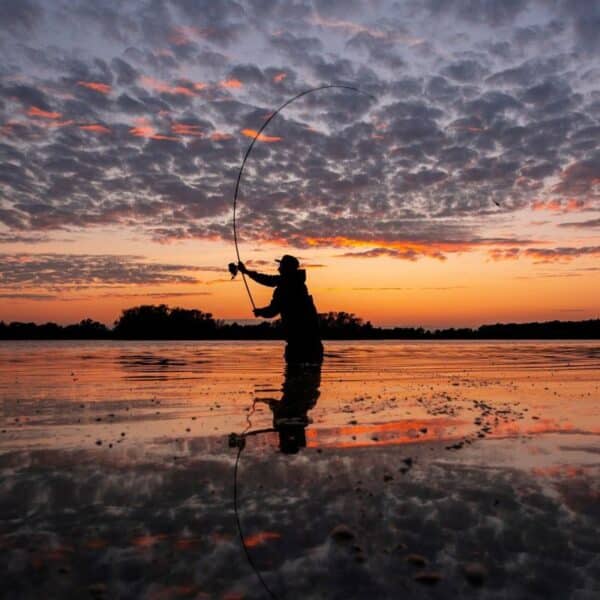 3 X NASH X SERIES RODS OR CASH - Image 4
