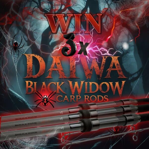 3 X 12FT DAIWA BLACK WIDOW CARP RODS OR CASH