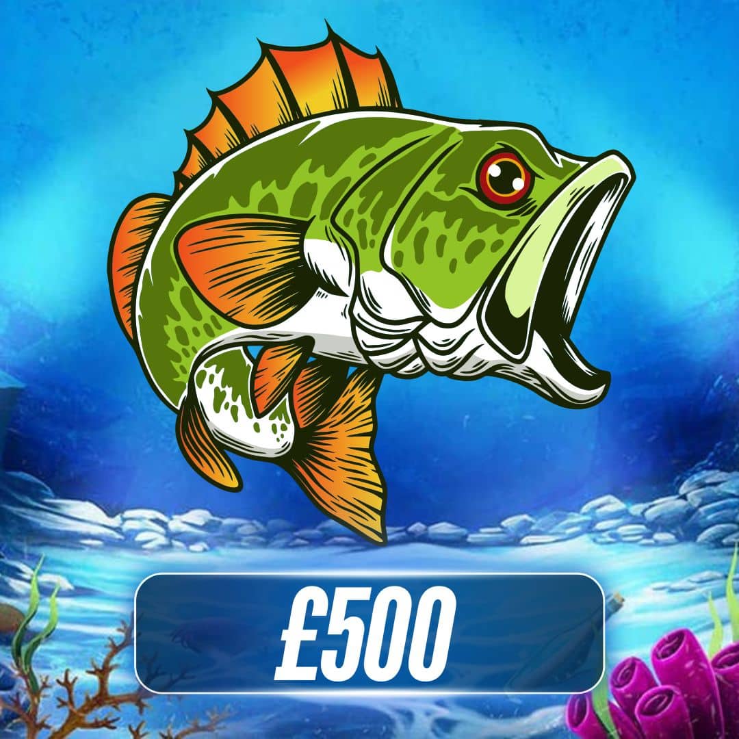 £500 CASH