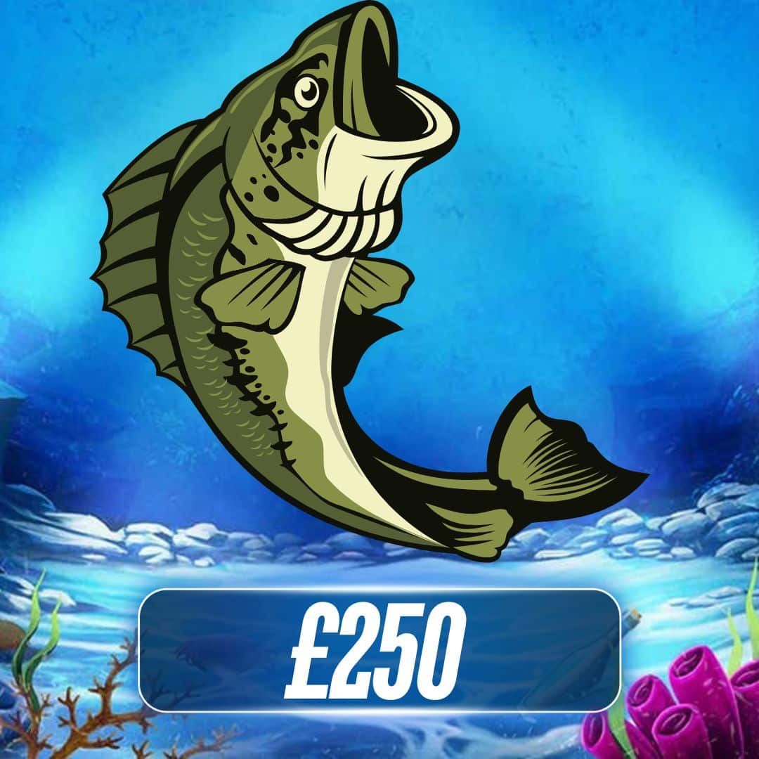 £250 CASH
