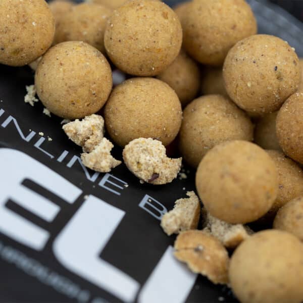 *MEGA ODDS* 10KG MAINLINE CELL SHELF LIFE BOILIES
