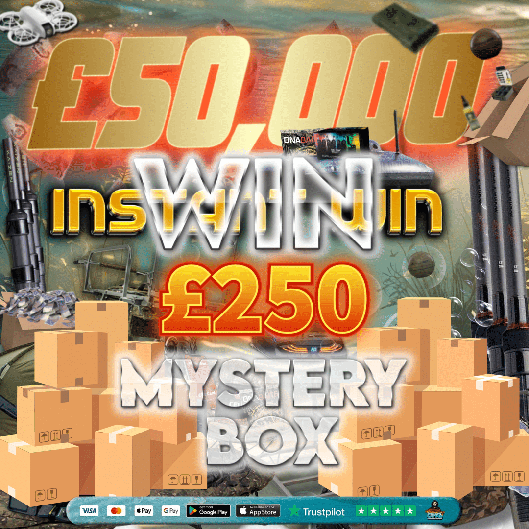 £250 MYSTERY BOX